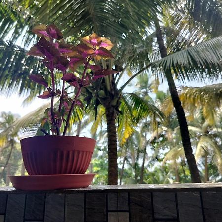 Kumbaya Beachside Hostel & Apartments At Arambol Beach Eksteriør billede